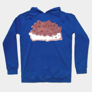 Watercolor Hedgehog Hoodie